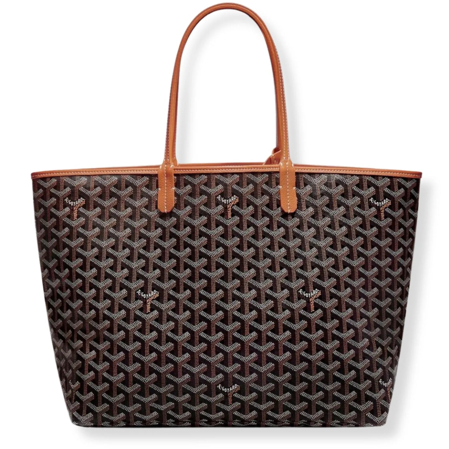 GOYARD SAINT LOUIS PM BAG