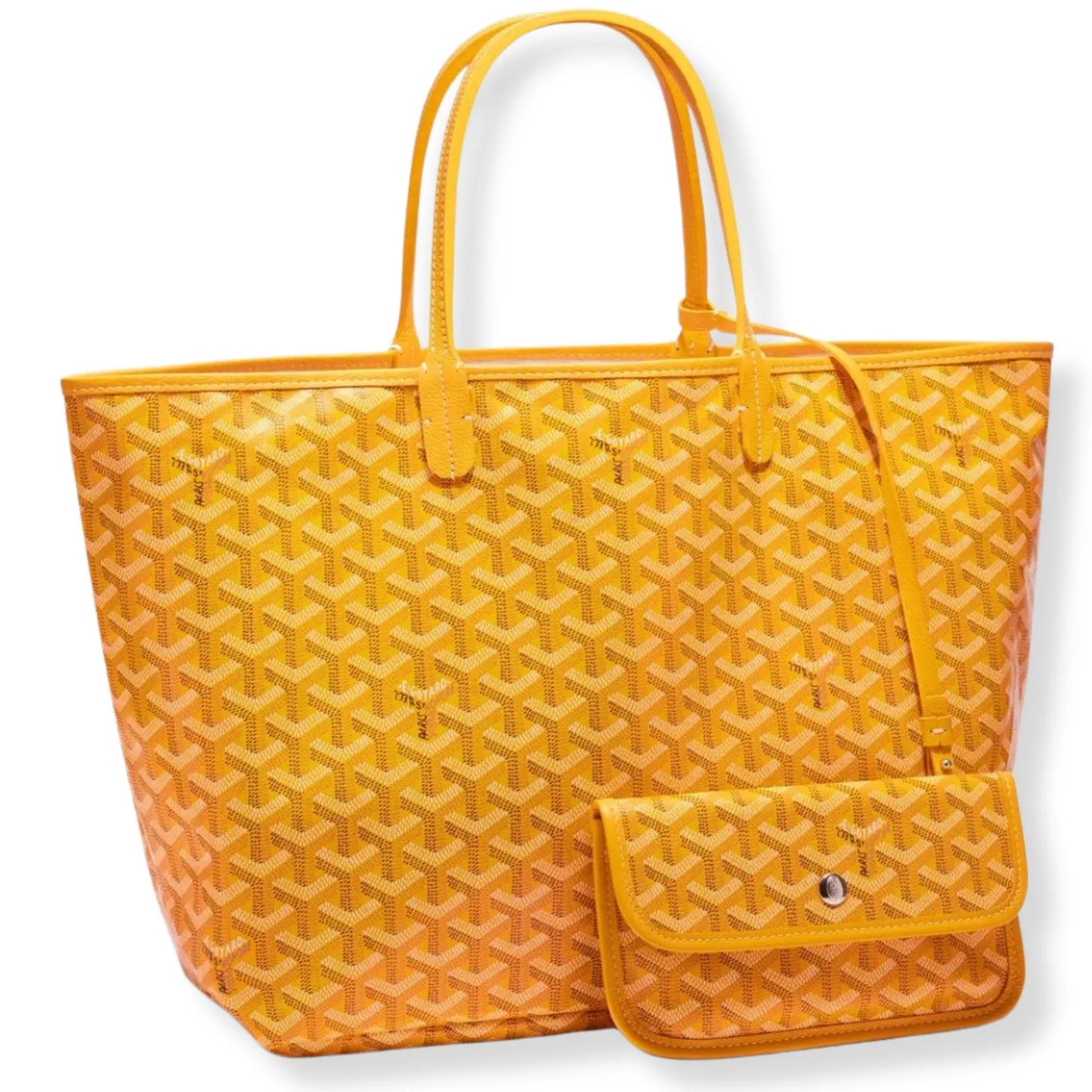 GOYARD SAINT LOUIS PM BAG