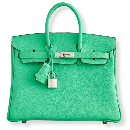 BOLSO DE PIEL HERMÈS BIRKIN 25 VERT COMICS TOGO