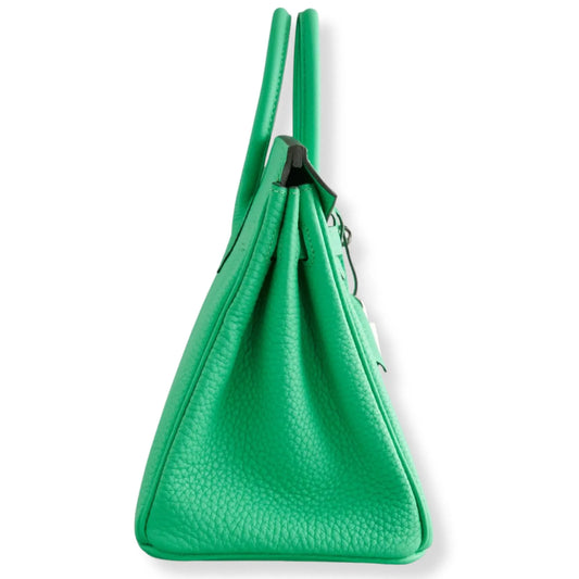 BOLSO DE PIEL HERMÈS BIRKIN 25 VERT COMICS TOGO