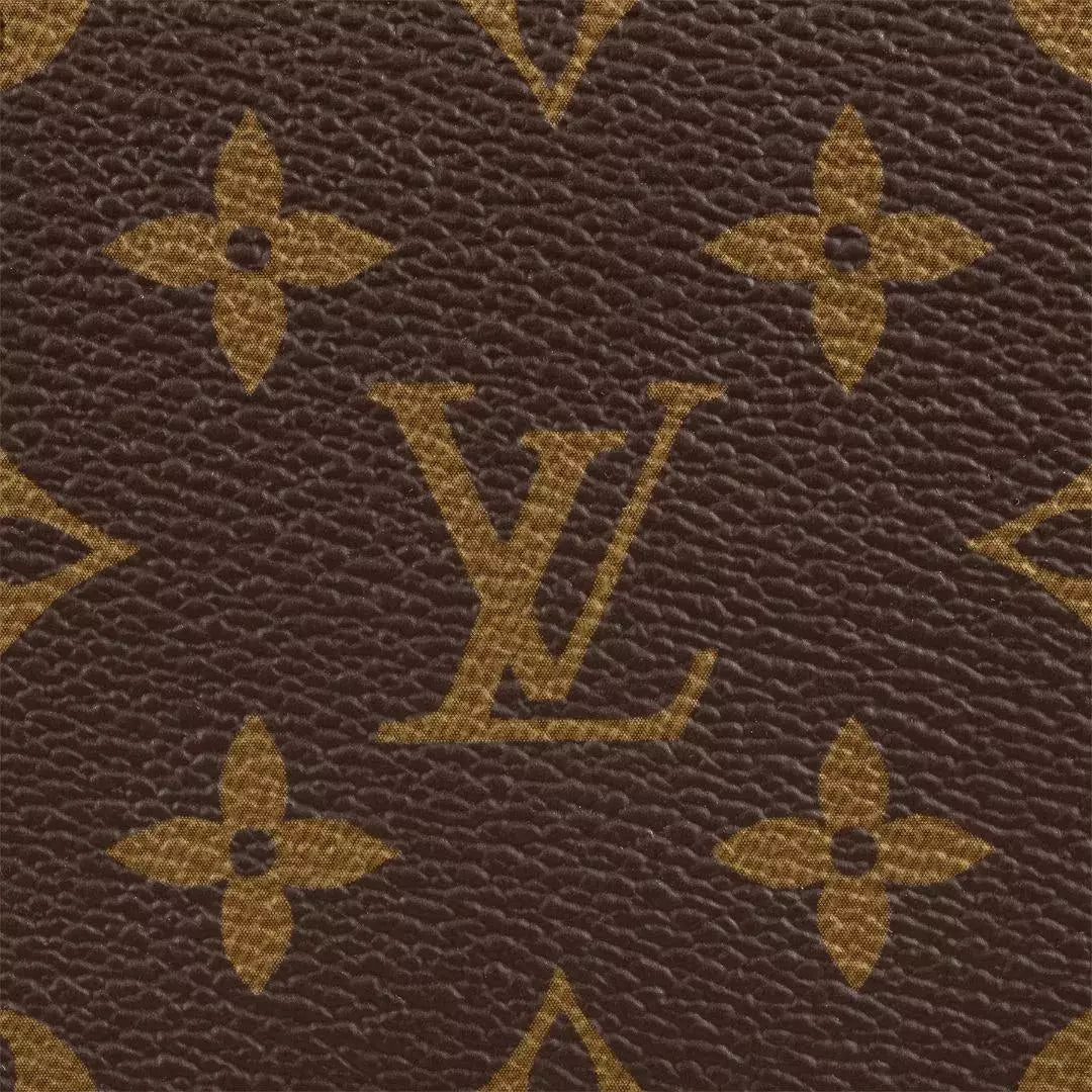 LOUIS VUITTON SPEEDY 25 MONOGRAM BAG