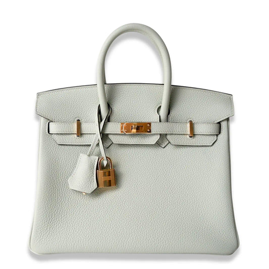 HERMÈS BIRKIN 25 GRIS NEVE BAG