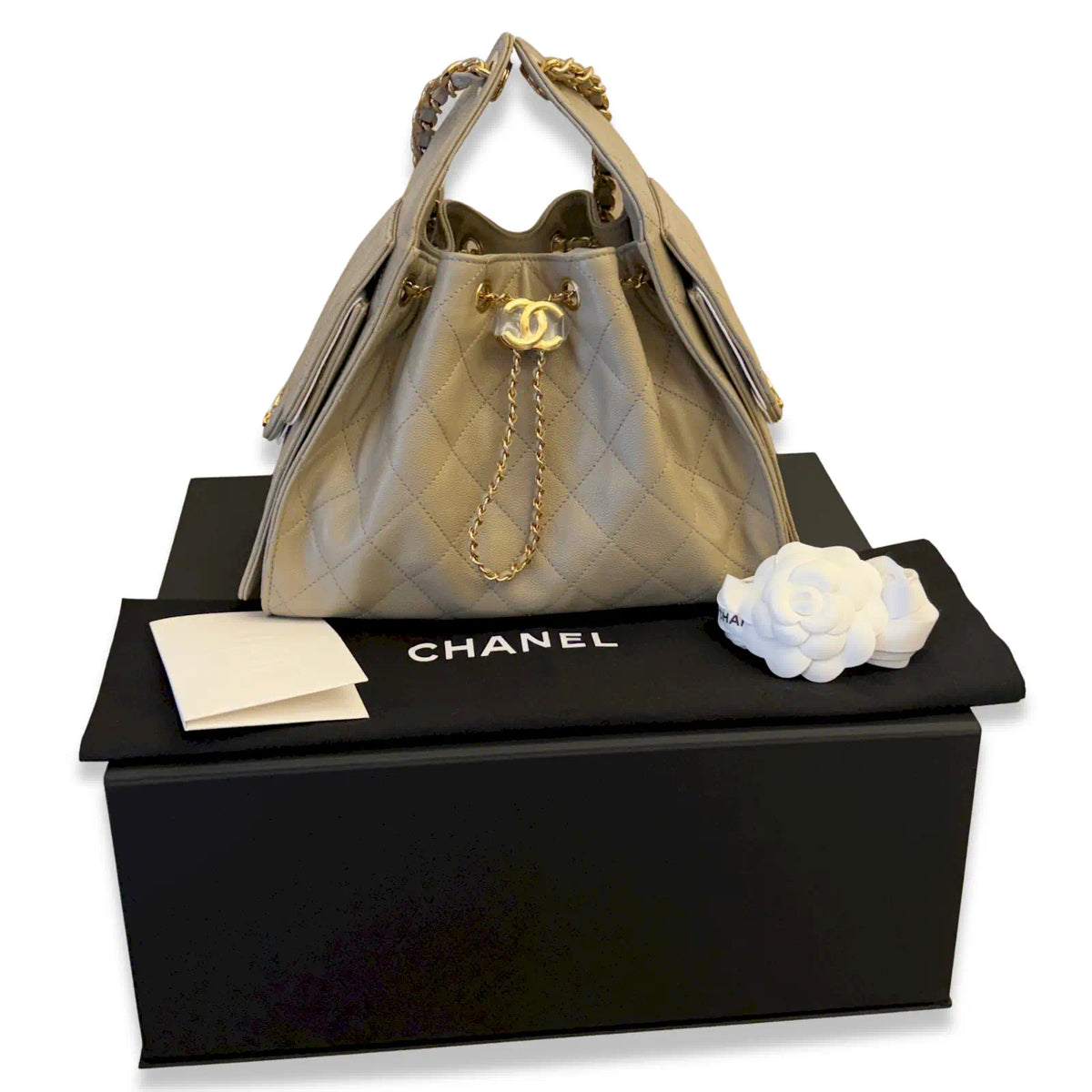 CHANEL LIGHT GREY CAVIAR SMALL 25 BAG