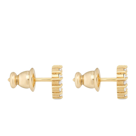DIOR CLAIR D LUNE EARRINGS