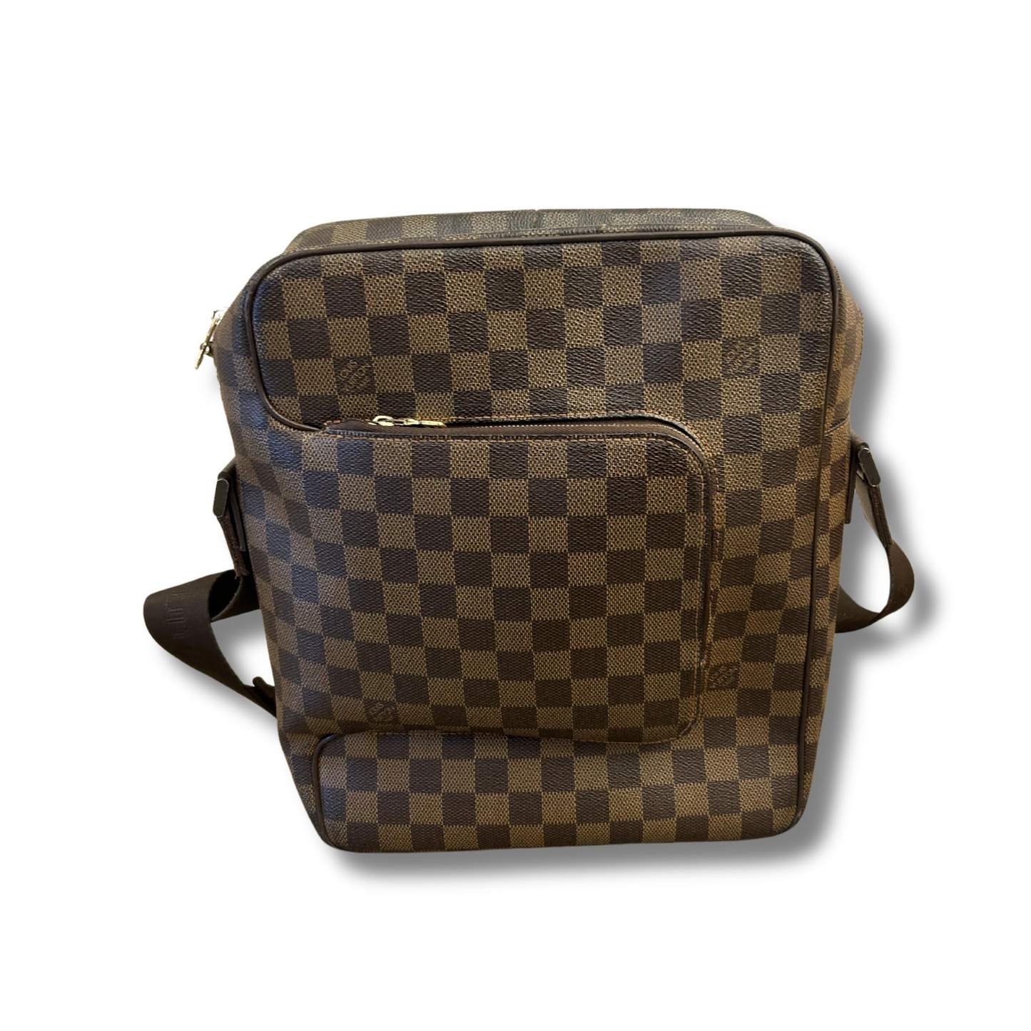 LV OLAV LEATHER BAG