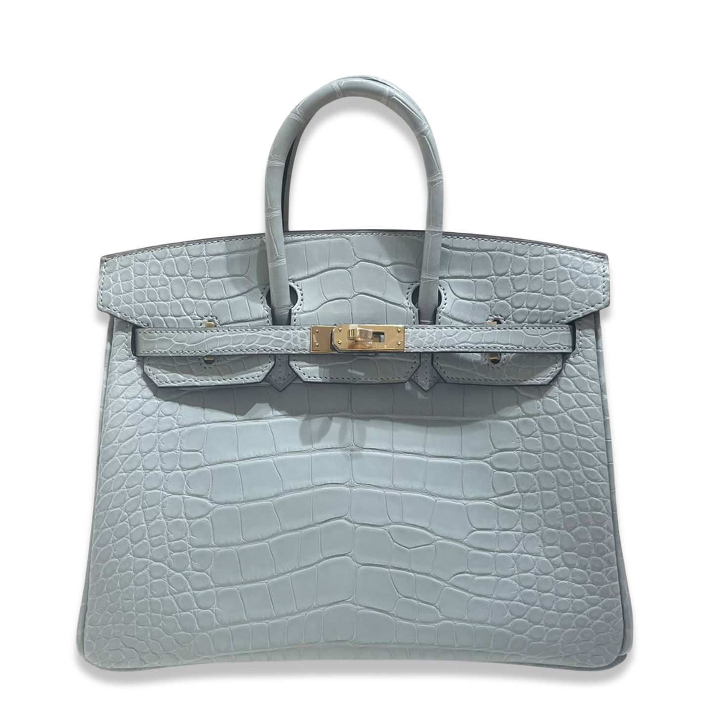 HERMÈS BIRKIN 25 GRIS NEVE MATTE ALLIGATOR BAG