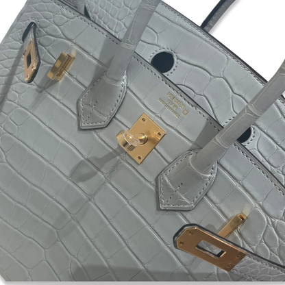 HERMÈS BIRKIN 25 GRIS NEVE MATTE ALLIGATOR BAG