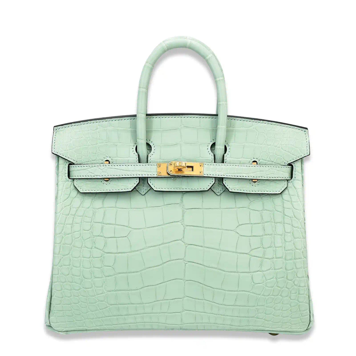 HERMÈS BIRKIN 25 VERT D'EAU MATTE ALLIGATOR BAG