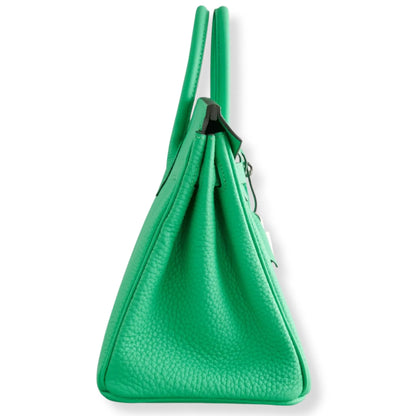 HERMÈS BIRKIN 25 VERT COMICS TOGO LEATHER BAG
