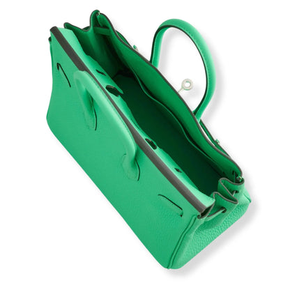 HERMÈS BIRKIN 25 VERT COMICS TOGO LEATHER BAG